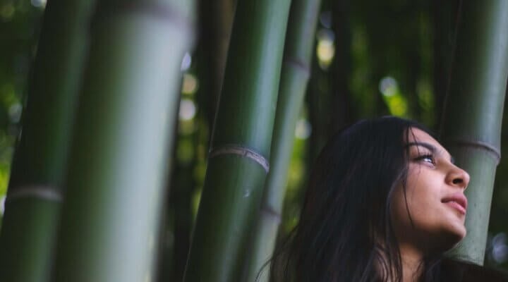 How is bamboo clothing & t-shirt is made? List of Top 10 bamboo clothing manufacturers brands in India - Synerg