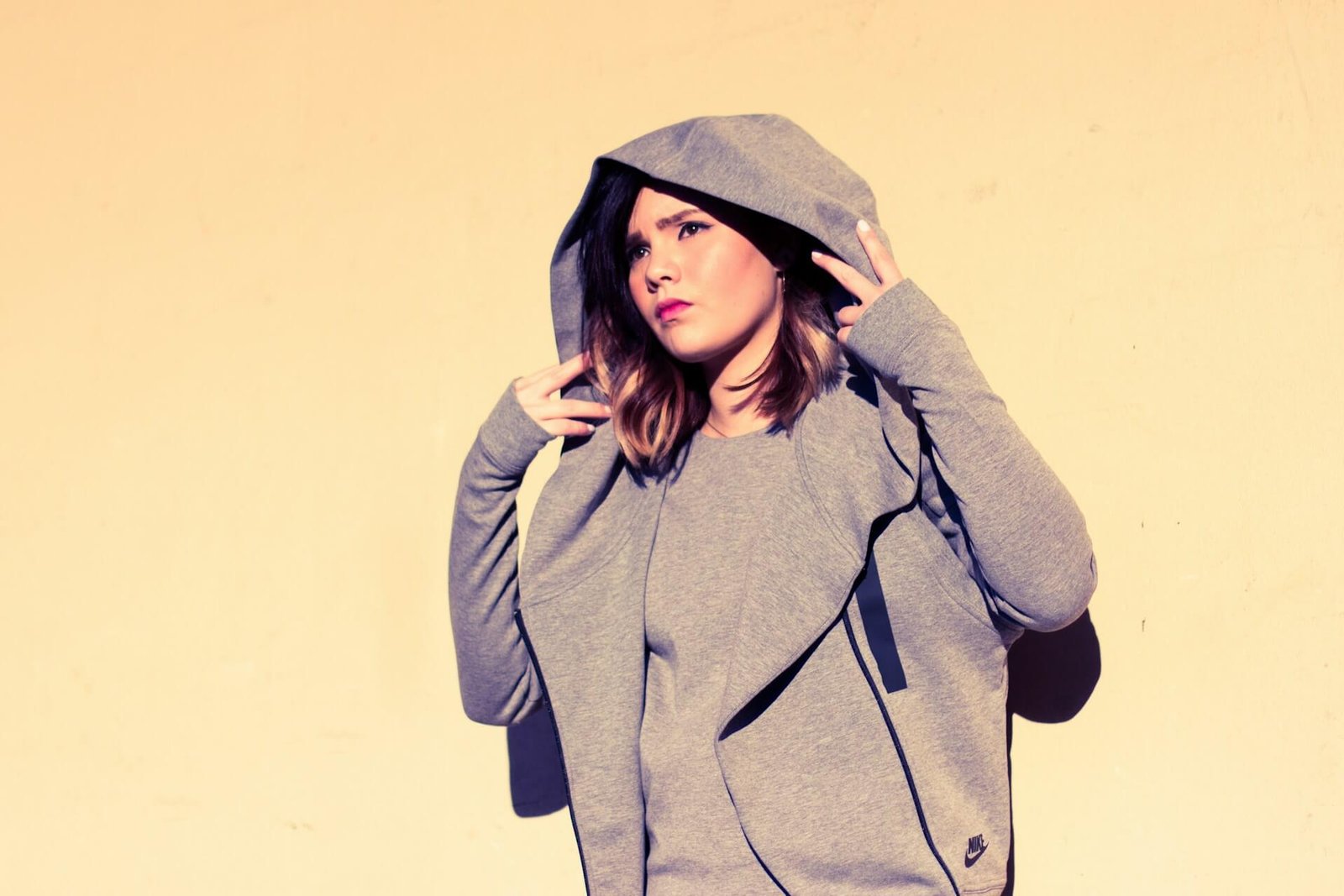Discover the top 10 hoodie brands & sweatshirt brands in the world ranked by brand value, sales, popularity & global recognition - Synerg